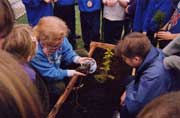 Tree planting with school group