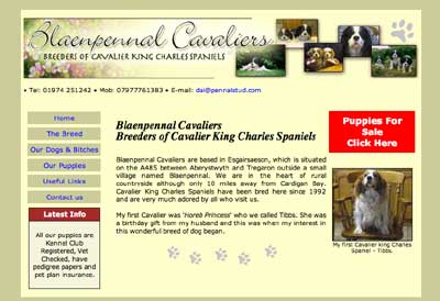 Blaenpennal Cavaliers screen grab Blaenpennal Cavaliers screen grab
