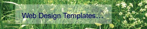 web design templates jpg