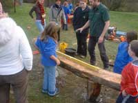 school group woodland visits
