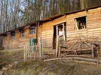 Coed Tyllwyd Workshop